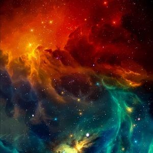 Meet your Posher, Devyn